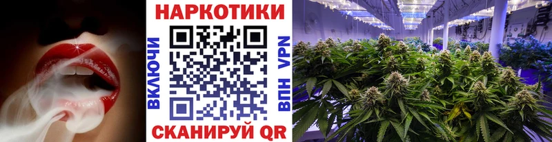 МЕФ Губкинский