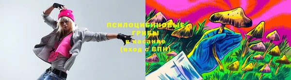 герыч Каменногорск