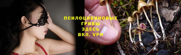 дурь Каменка