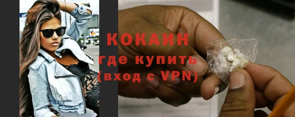 дурь Каменка