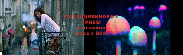 дурь Каменка