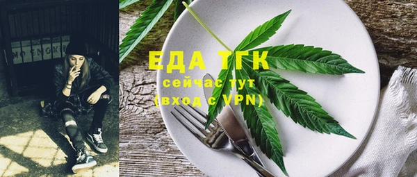 дурь Каменка
