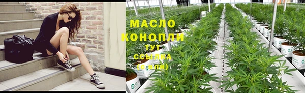дурь Каменка