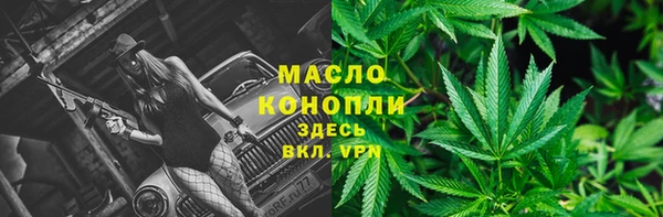 дурь Каменка