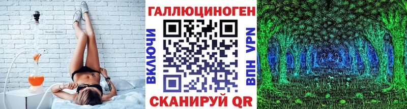 Купить где  Губкинский  Псилоцибиновые грибы Psilocybe 